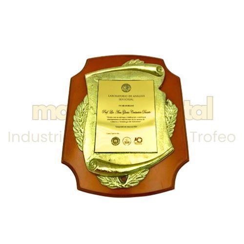 Imagen de Placa de reconocimiento - M3.4002